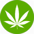 Titre de Cannabis